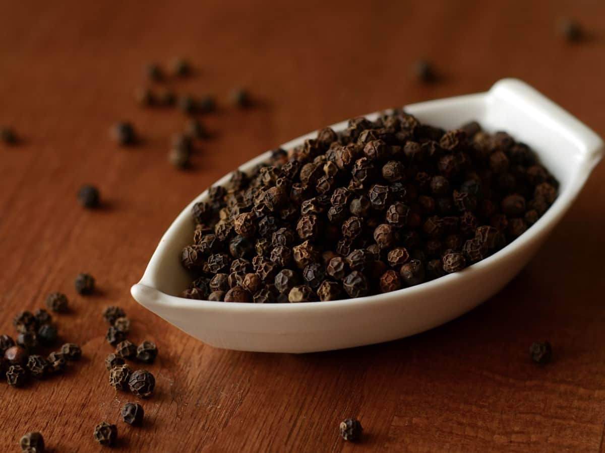 Black pepper Benefits and Uses- काली मिर्च के फायदे, औषधीय गुण, लाभ और नुकसान